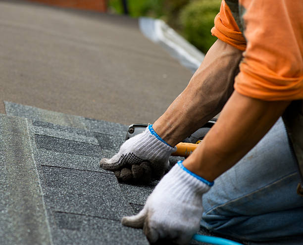 Best Roof Leak Repair  in Fort Ashby, WV